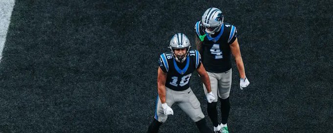 Carolina Panthers banner