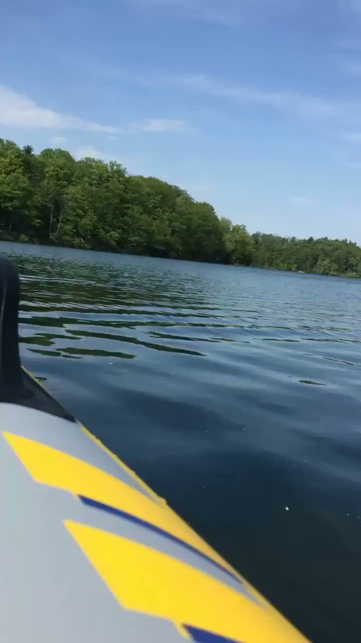 Kim Pearl (@kpearl8) / Twitter