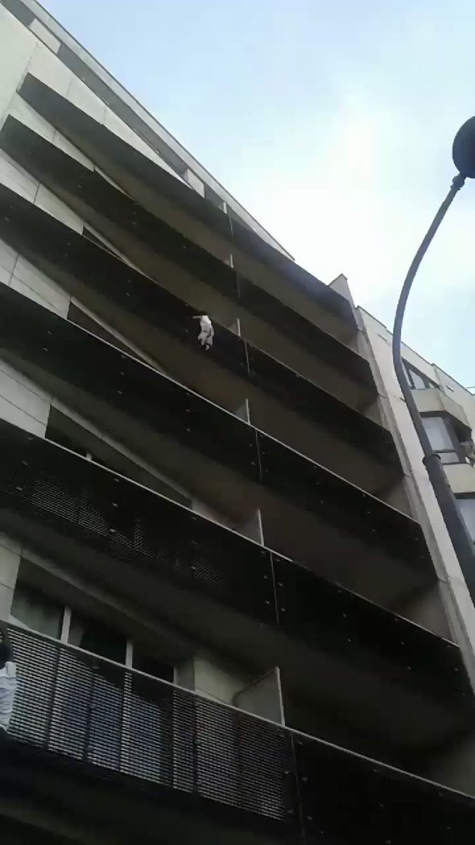 ‘Spider-Man’ of Paris climbs four storeys to rescue dangling boy – Trending Stuff