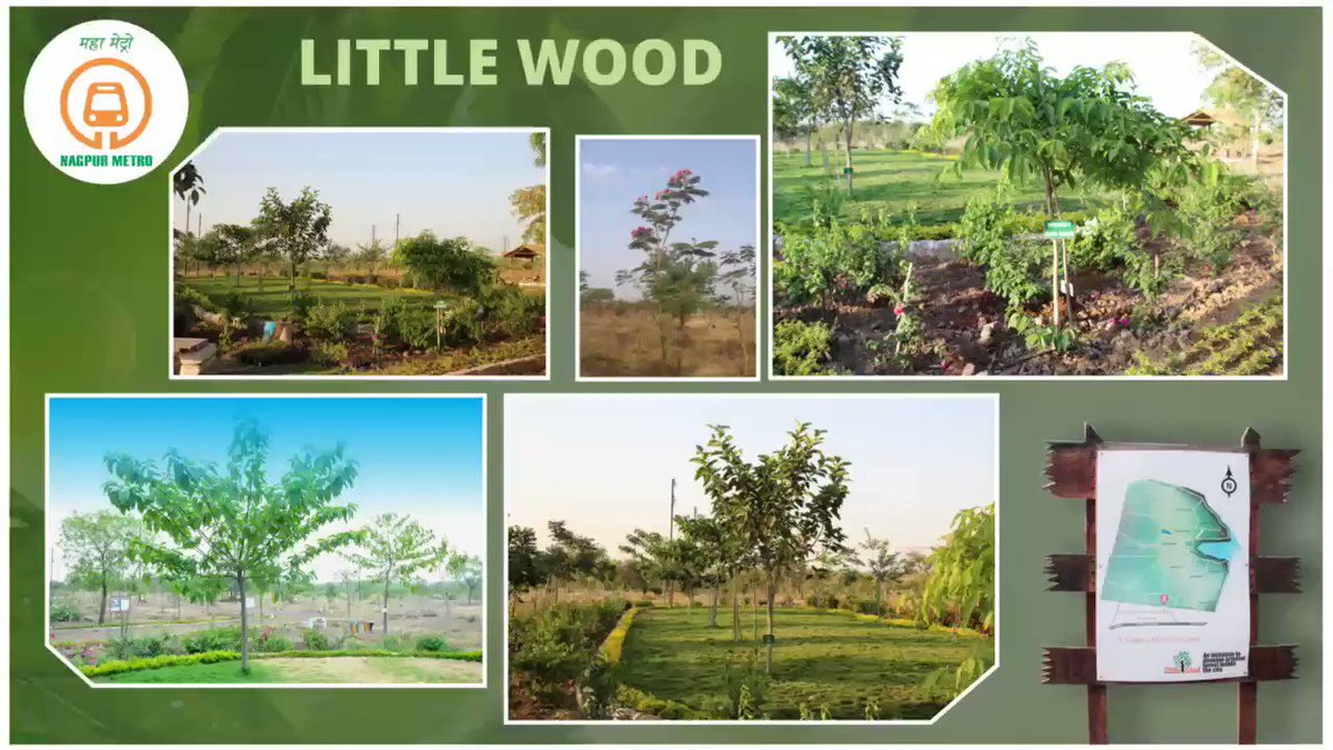 Nagpur Metro Rail on Twitter "LittleWoods A paradise Inside Nagpur