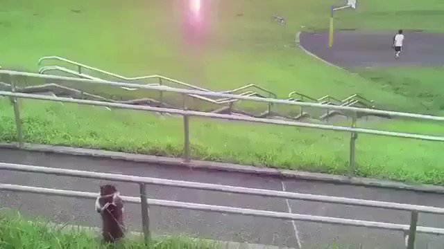 いやなんか黄昏れてるｗｗ猫の黄昏方がなんか人入ってるみたいｗｗ