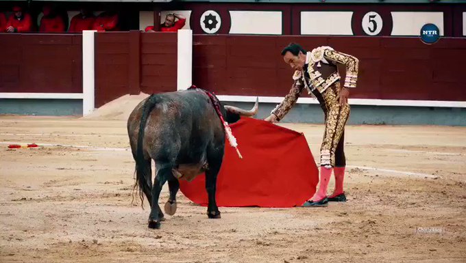 Torero incornato dal toro alla feria di Madrid: «Colpito a una gamba, è grave»