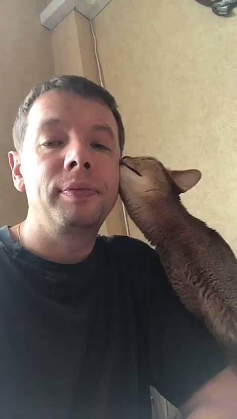 絶対に確信犯ｗｗチキンが欲しいがためにご主人様に甘える猫ｗ