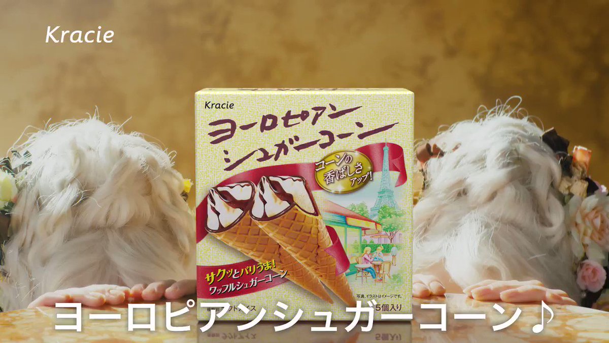 じいちゃん　コーンシェーカー　8台 じいちゃん様専用 コーンシェーカー 8台