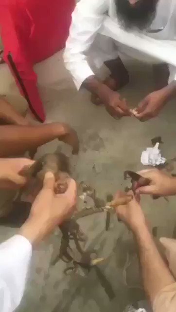 Embedded video