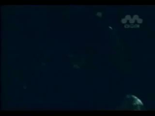 森田童子 歌詞bot 春の木漏れ日の中で 君のやさしさに 埋もれていた ぼくは 弱虫だったんだョネ ぼくたちの失敗 森田童子 T Co Gpo4y3wbxq Twitter