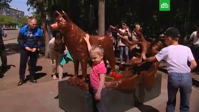 Символ бесконечной преданности — собака, которую окрестили «дальневосточной Хатико». Целых 12 лет она ждала хозяина на месте его гибели.