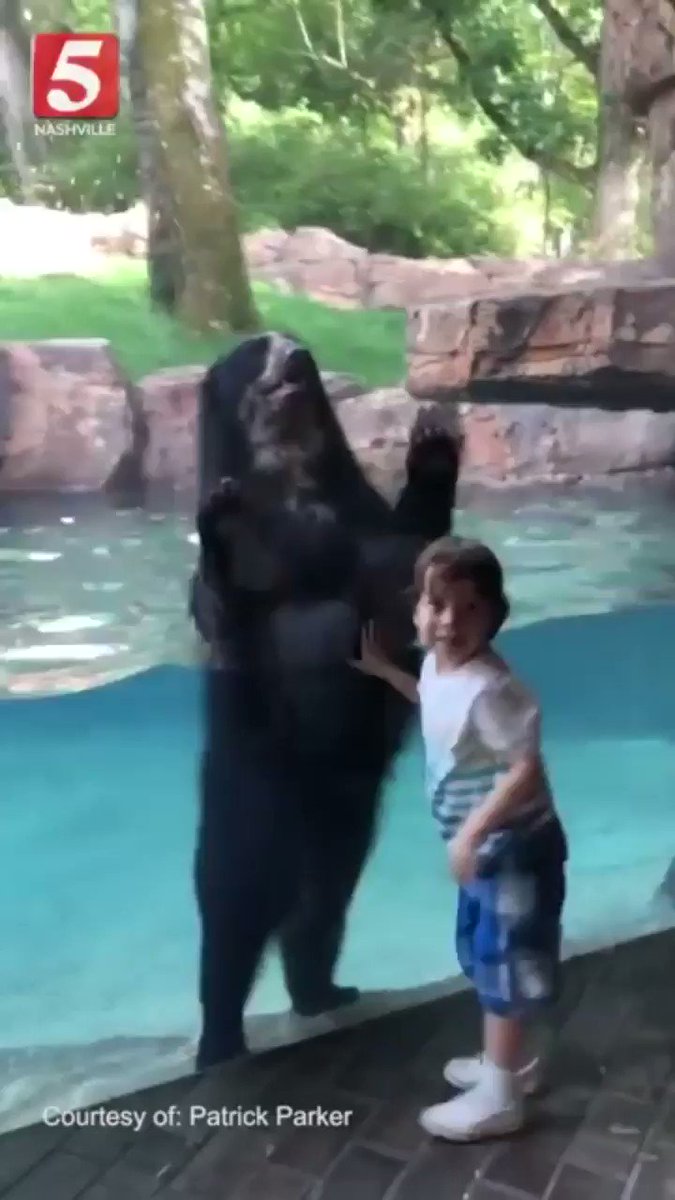 すごい無邪気なクマだなｗｗガラス越しに子供と同じ動作をするクマｗ