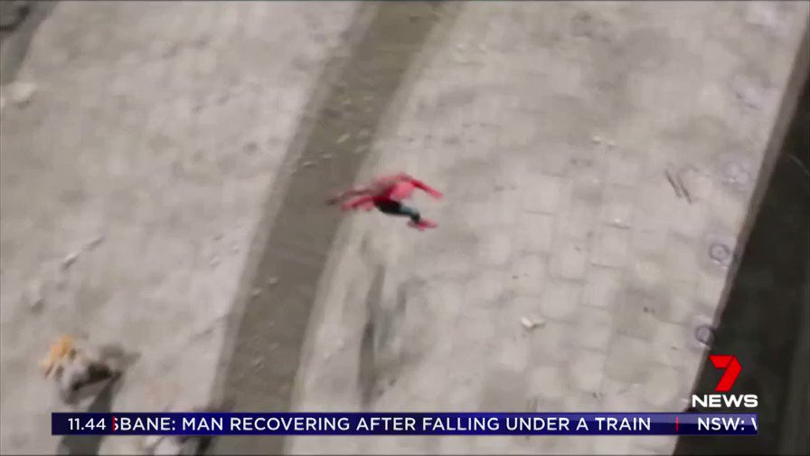 7 News Adelaide's photo on #mprraccoon