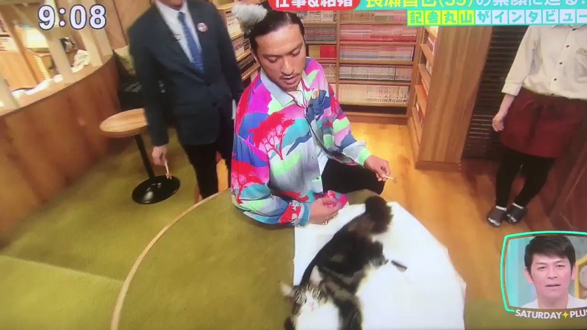 𝐞𝐦𝐮 猫になりたい 店舗は違うけどmochaほんとに可愛い猫ちゃんしかいないんだよ この前行ったし また行く予定あるし 缶バッチあるかな 見てみよ Tokio 長瀬智也 丸山隆平 サタプラ 猫カフェ Mocha T Co 4ktgdjjds4