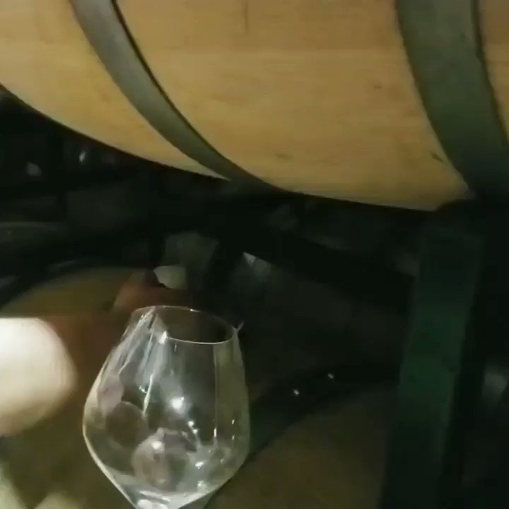 sonomavintners photo