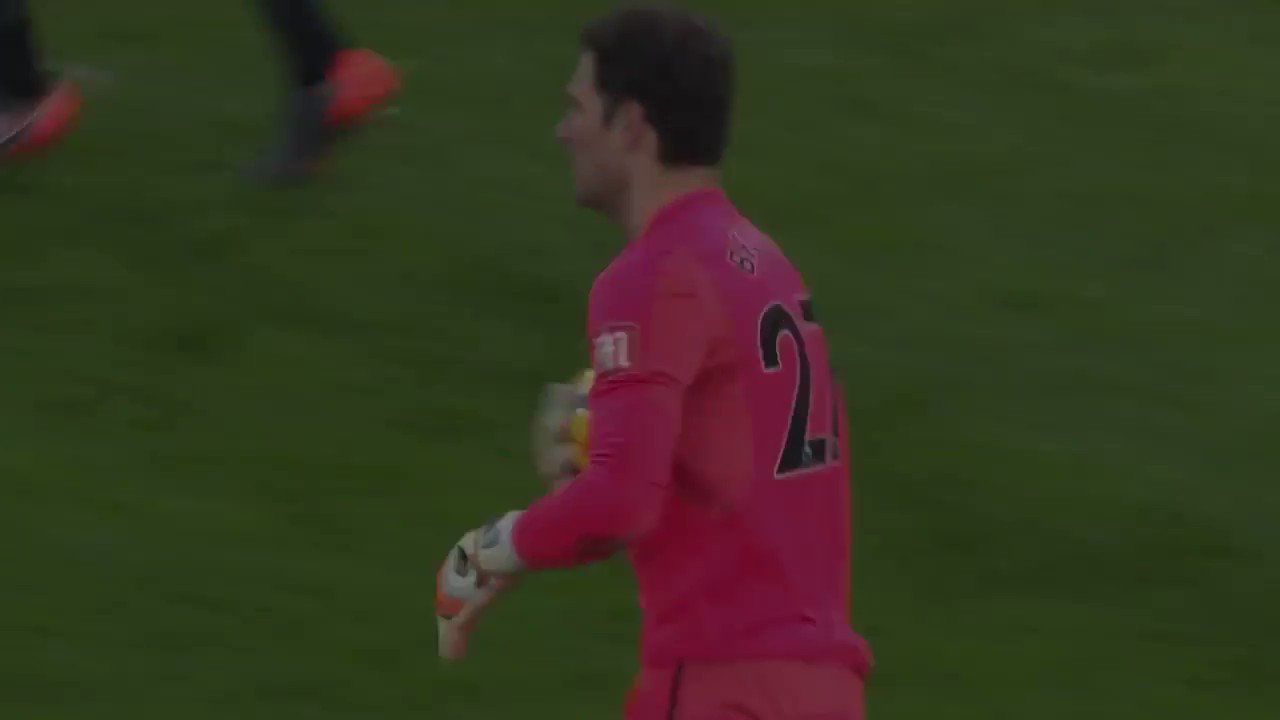 Happy Birthday to Asmir Begovi ! 