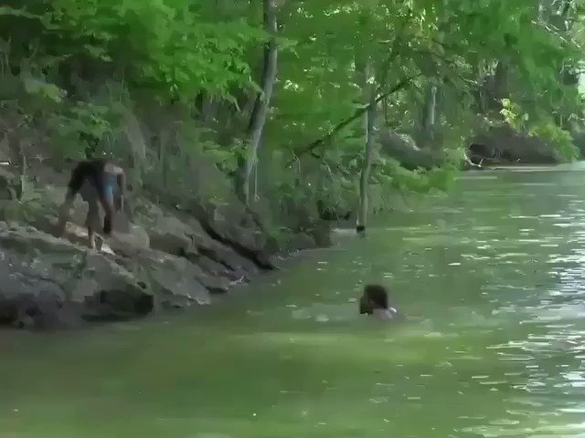 We all need a friend like this 👋🏿