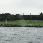 なんでこんなところにいるの？wリアルな鯨が東京湾にいる光景w