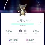 ポケモンgoで アローラコラッタ が話題に ポケgo トレンディソーシャルゲームス