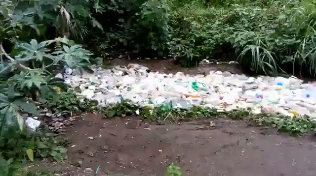 🔥SOCIALISM IS AWESOME FOR THE ENVIRONMENT- this is -you guessed it!, VENEZUELA 🇻🇪 and this is us on the Green New Deal & socialism. And now how many Dem candidates for president can you name that endorse this for America?? Add a name to the comments...