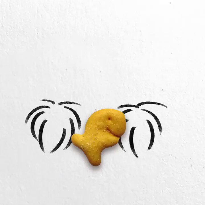 Goldfish® on Twitter: Goldfish® on Twitter: