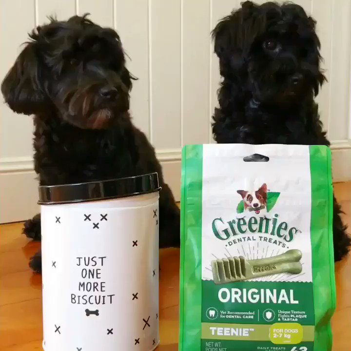 Two @Greenies a day keeps the vet away 💚✨ https://t.co/j3KnBRehiW