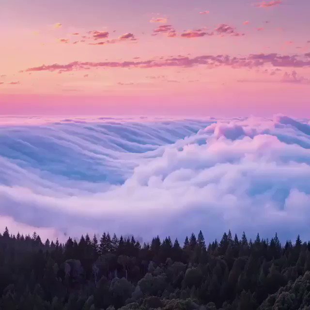 RT @animal0lovers: Timelapse of fog that looks like a Tsunami https://t.co/A3ZzPXLi1s