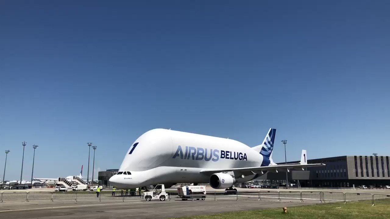 Beluga on X: b- b- belutooz..?? ๐๐ / X