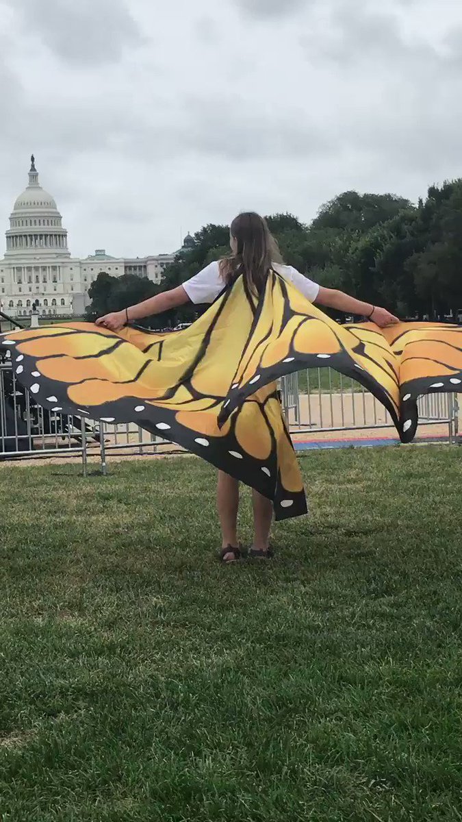 Aimee Witteman (AimeeWitteman) Twitter