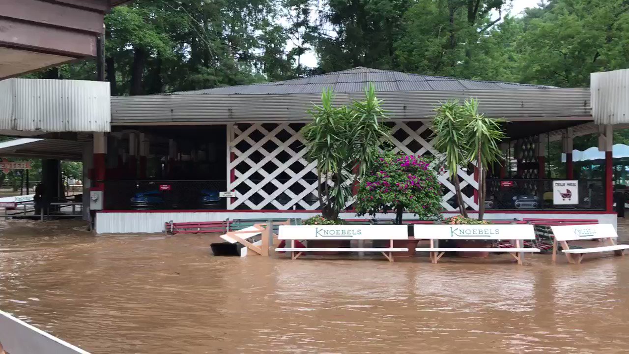 @knoebelss video Tweet