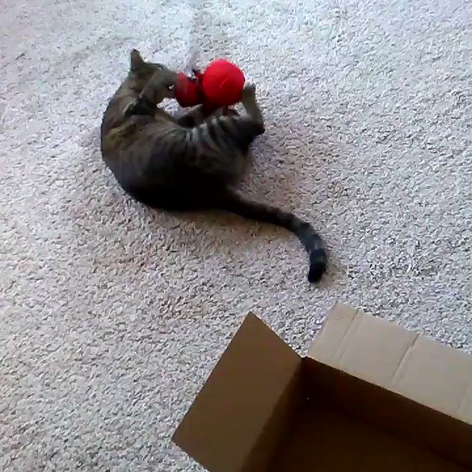 Well alright then. https://t.co/1OST3qIzZR<a href="/tag/cutes"class="tags"><span>#cutes</span></a>