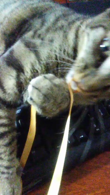 I'm trying to log on... https://t.co/zNNFMCI68c<a href="/tag/cutes"class="tags"><span>#cutes</span></a>