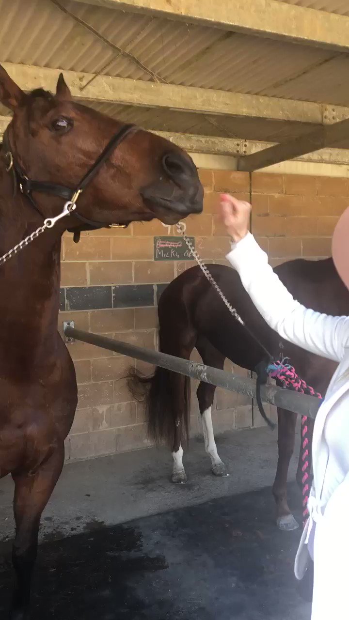 Chynna Marston on Twitter "Spending my day playing with all the best