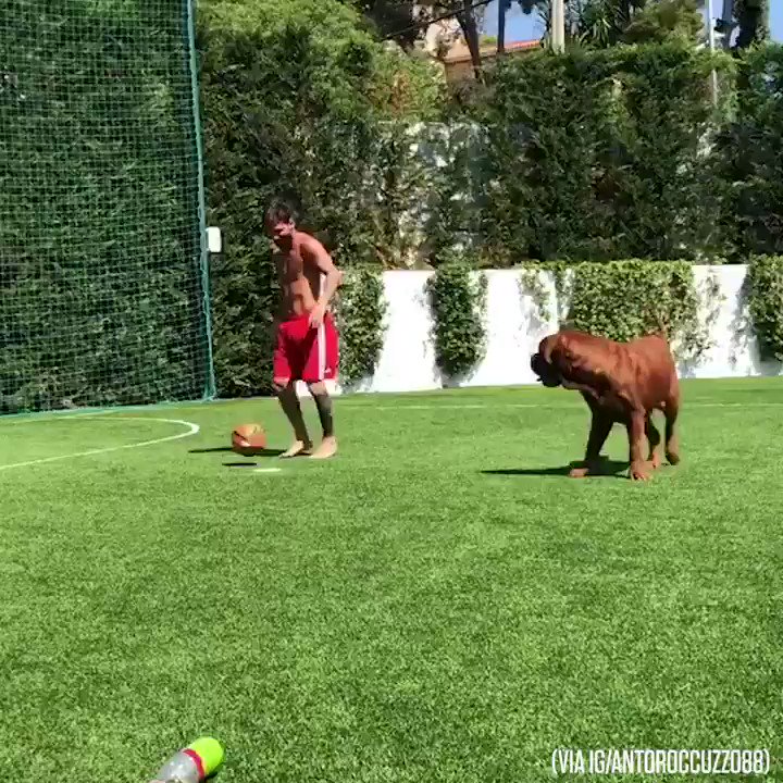 Messi Soccer Ball House