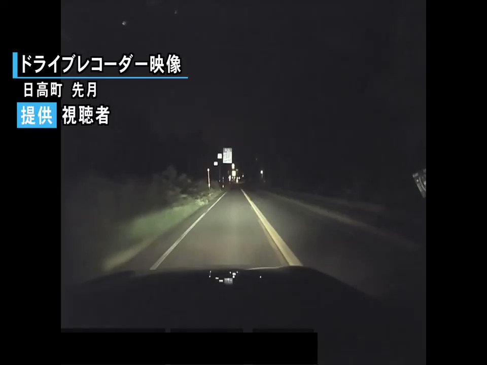 北海道ニュースuhb On Twitter 車とクマが衝突 緊迫の瞬間 ドライブレコーダーが捉えた 北海道日高町 北海道日高町 クマ 車 衝突 Https T Co C8rqxj7vvf Https T Co 7eojxvn1vi Twitter