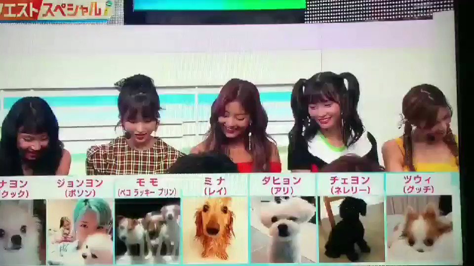 Twice モモ Twice犬派多いね ナヨン ジョンヨン モモ ミナ ダヒョン チェヨン ツウィに飼われてる犬絶対幸せだろうな 俺も犬になろかな モモの飼っとる犬になりたいわ 絶対 幸せやろ ダヒョンの犬の名前アリてwww もう