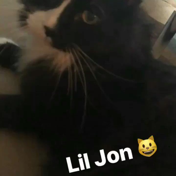 Dude, here s my cat Respect to such a long time player  Happy Birthday   