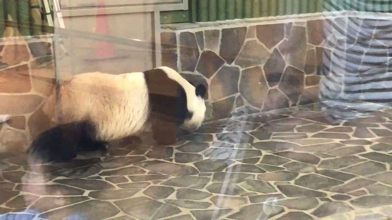 初タンタン - অনুসন্ধান / X