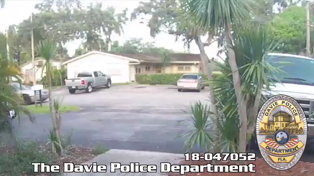 Man caught on camera stealing pit bull puppy in Davie bit.ly/2BbrOgJ https://t.co/Uu27IN0adJ