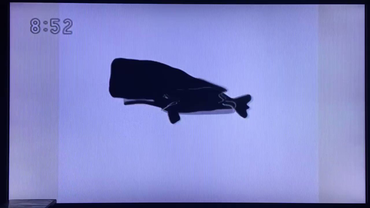 猫次郎 على X: 