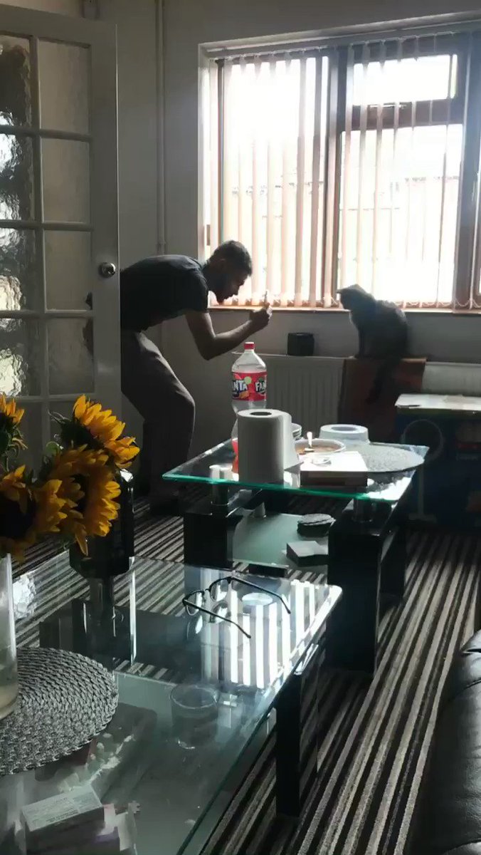 RT @jaemsungs: this is what jeno looked like when taking pictures of his cats for international cat day https://t.co/USv1oyWVx9