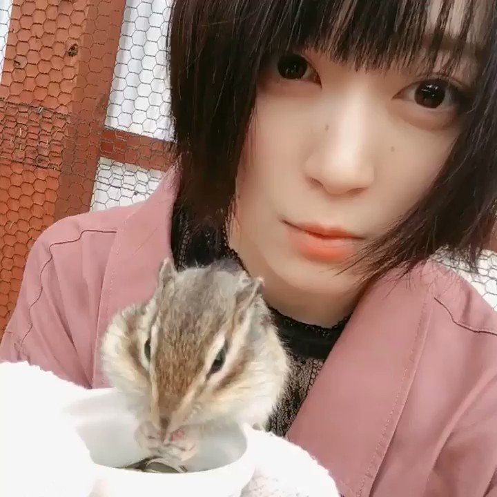 ひなた🐰 on Twitter