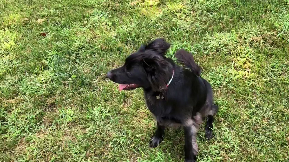Lilly rocked the #SnootChallenge but didn’t stay long! 😂