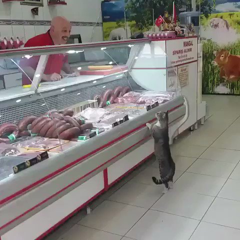 とっても微笑ましい！外国ならではのやり取りが素敵な店員さんとお客さんのやりとりがキュートwww
