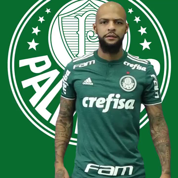 Os Palmeiristas on X: @PE_Lira @pomerense É do Palmeiras mano