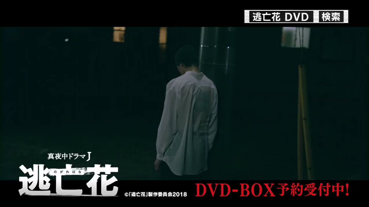 逃亡花 蒼井そら主演 Dvd好評発売中 Bs7ch Nogareban Twitter Analytics Trendsmap 逃亡花 蒼井そら主演 Dvd好評発売中 Bs7ch Nogareban Twitter Analytics Trendsmap