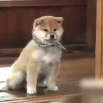 麻生美代子さんこの番組のナレーションも、出演もしていた!すごい人だったなぁ…