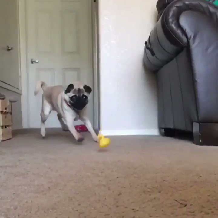 Jen Bard (@Jen_Bard) | Twitter