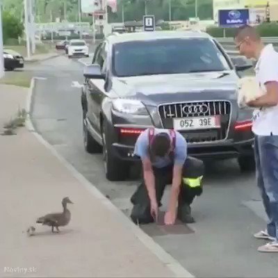 助けて〜‼︎子供が、子供が〜‼︎大救出劇始まる！