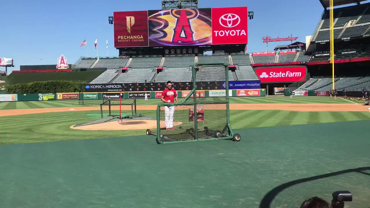 Hello, neighbors!  We’re in the cage and prepping for #DucksNight with the @Angels. https://t.co/Yi0YTsTawh