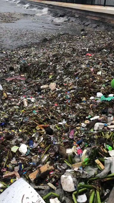 Elob6hdzwg2IgpQ ?format=jpg&name=small | Lamianow.gr