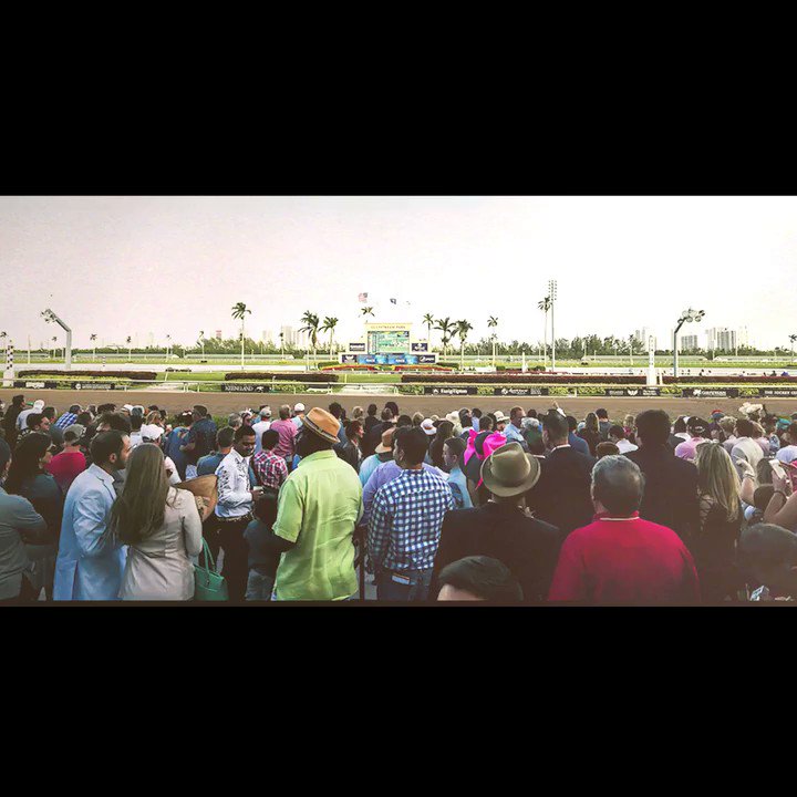 Pegasus World Cup (@PegasusWorldCup) on X