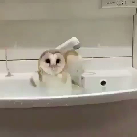 Me having practice arguments in the shower that will never actually happen.