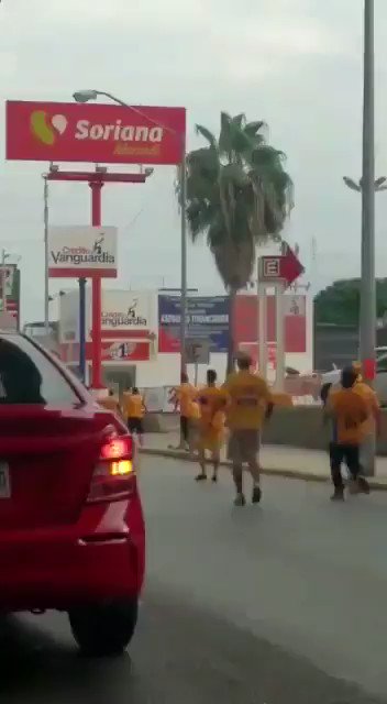 52Tn1jzqvBFEnXKt?format=jpg&name=small | Lamianow.gr